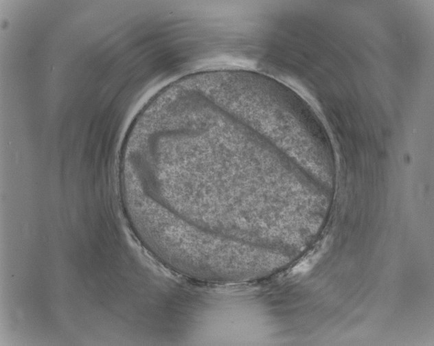 X0000073891008200609082118