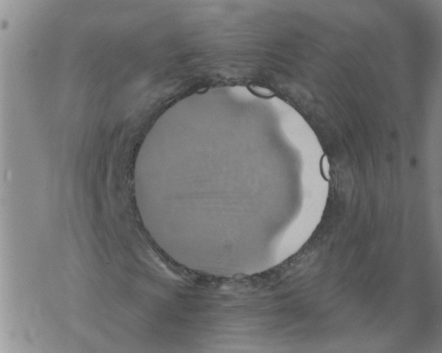 X0000073891009200609082117