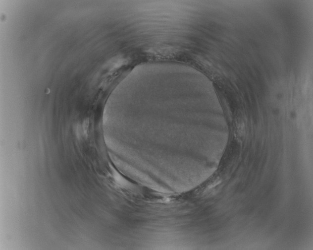 X0000073891010200609082117