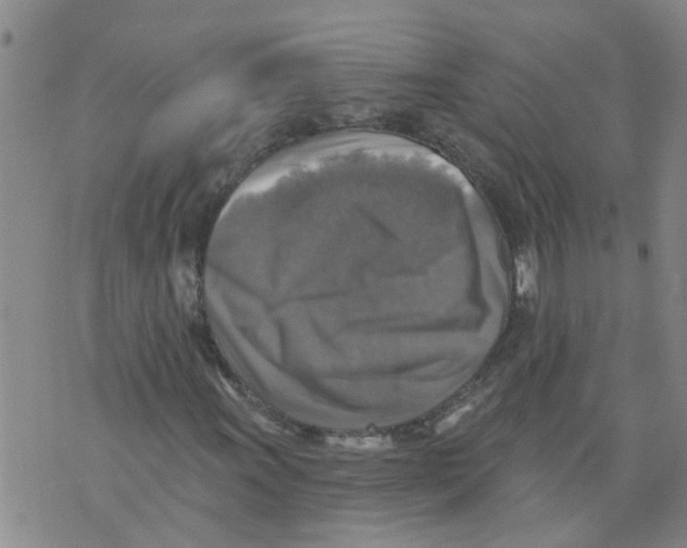 X0000073891011200609082117