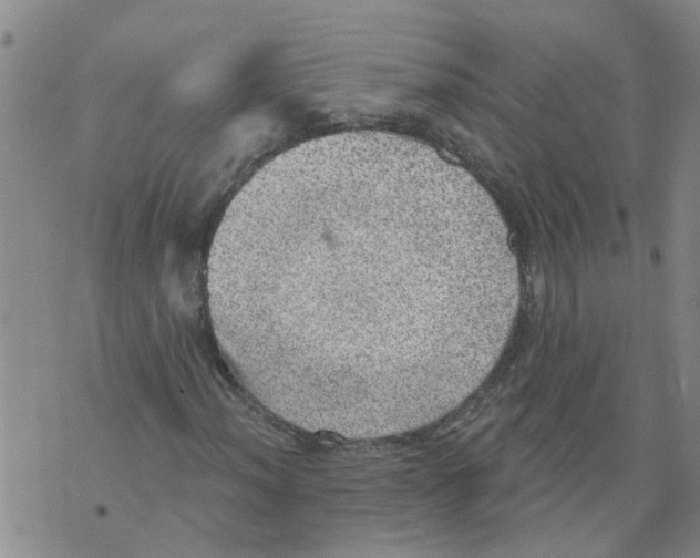 X0000073891012200609082117