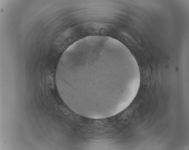 X0000073891013200609082117