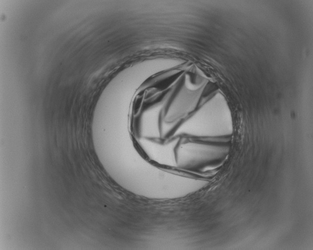 X0000073891014200609082117