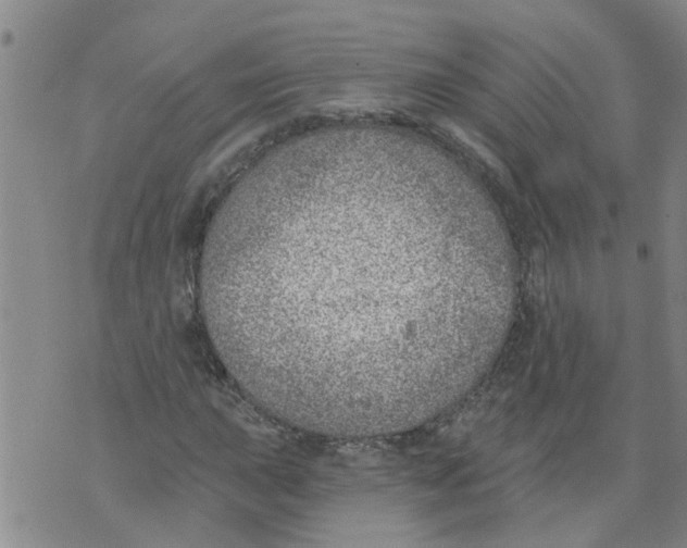 X0000073891015200609082117