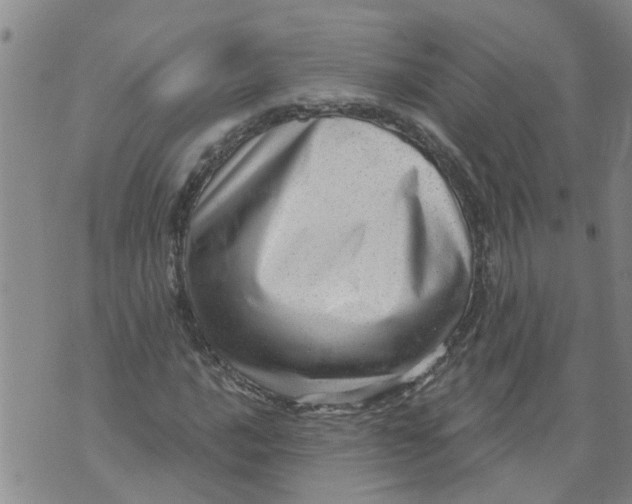 X0000073891016200609082117