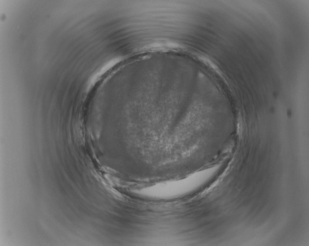 X0000073891018200609082117