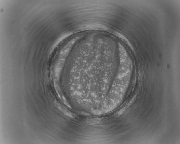 X0000073891019200609082117