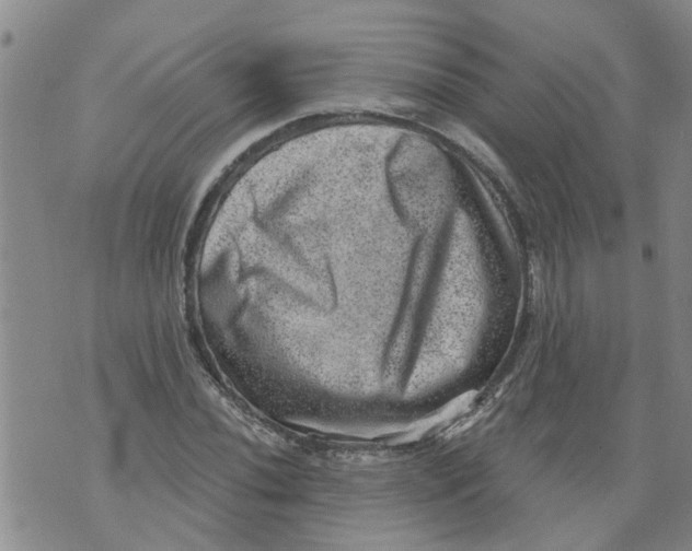 X0000073891020200609082117