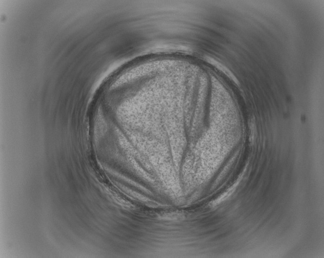 X0000073891021200609082117