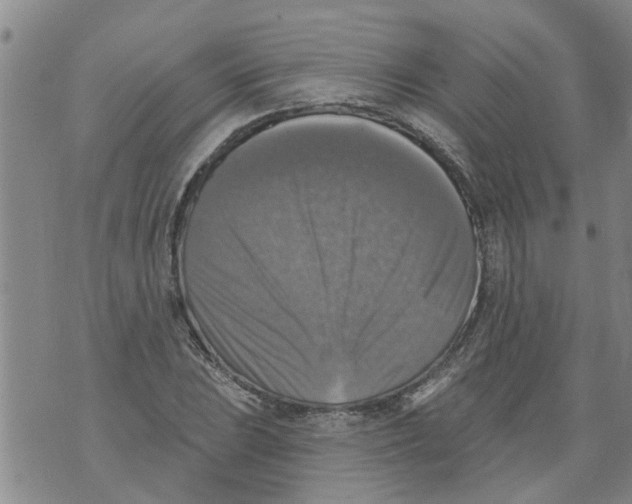 X0000073891023200609082117