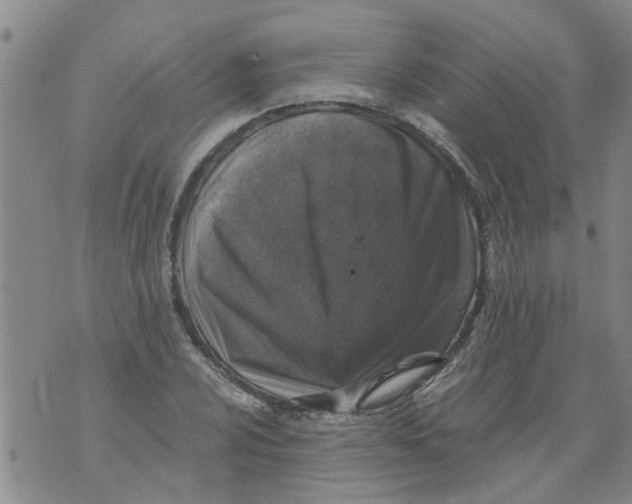 X0000073891024200609082117