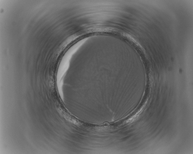 X0000073891025200609082117