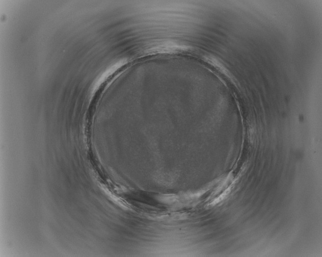 X0000073891026200609082117