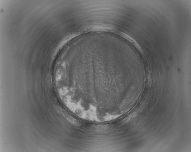 X0000073891027200609082117