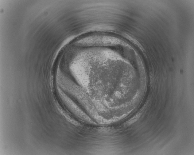 X0000073891029200609082117