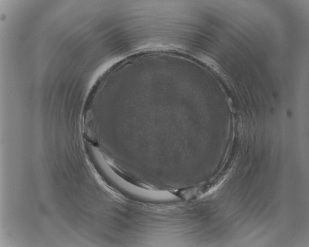 X0000073891030200609082117