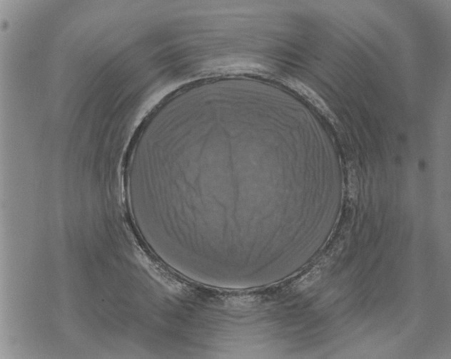 X0000073891031200609082118