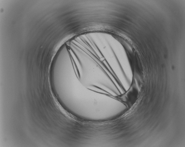 X0000073891034200609082118