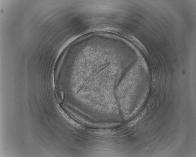 X0000073891036200609082118