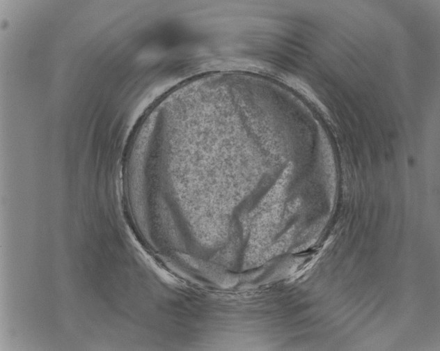 X0000073891040200609082118