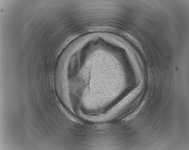 X0000073891041200609082118