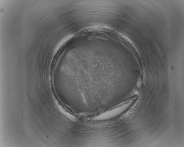 X0000073891042200609082118