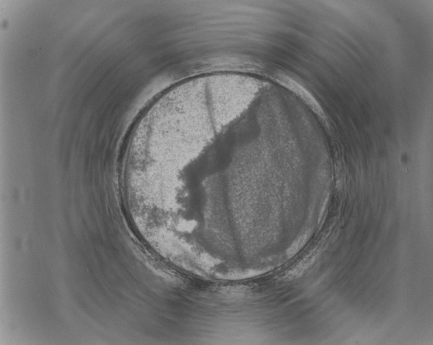 X0000073891043200609082118