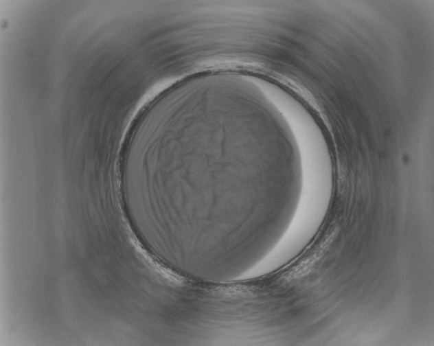 X0000073891045200609082118