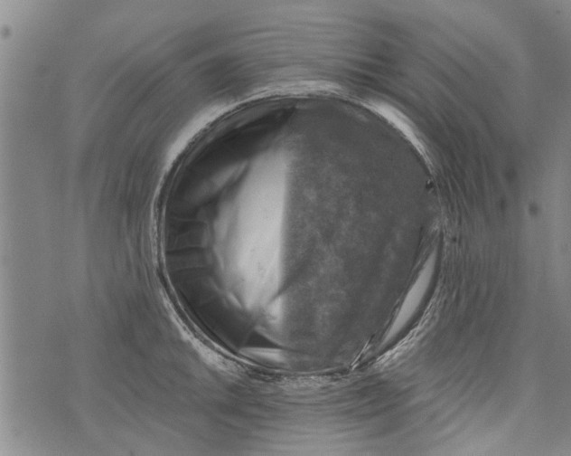 X0000073891046200609082118