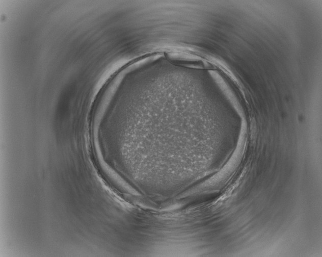 X0000073891048200609082118