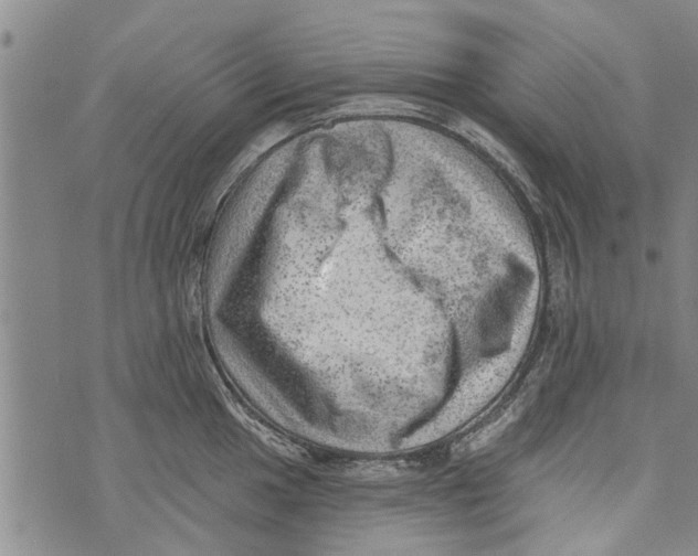 X0000073891049200609082118