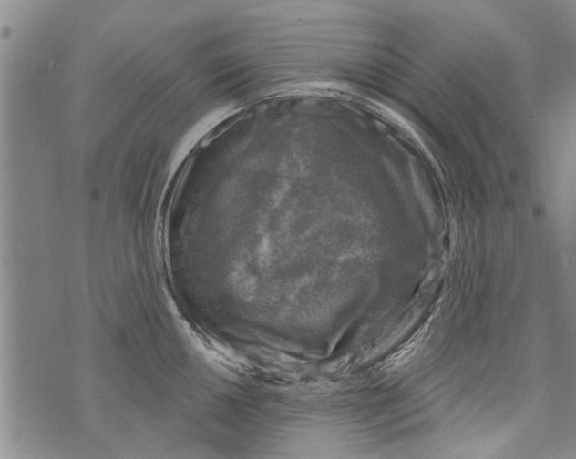 X0000073891050200609082118