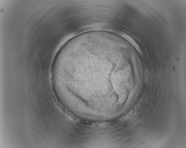 X0000073891051200609082118