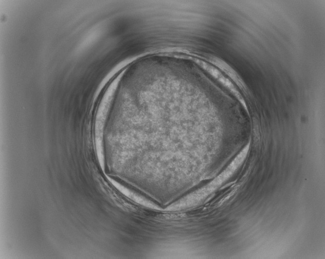 X0000073891052200609082118