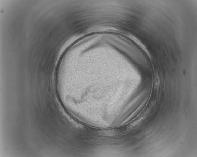 X0000073891053200609082118