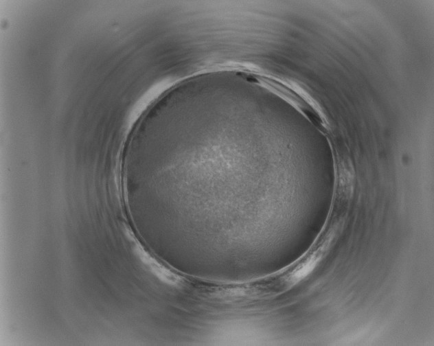 X0000073891054200609082118