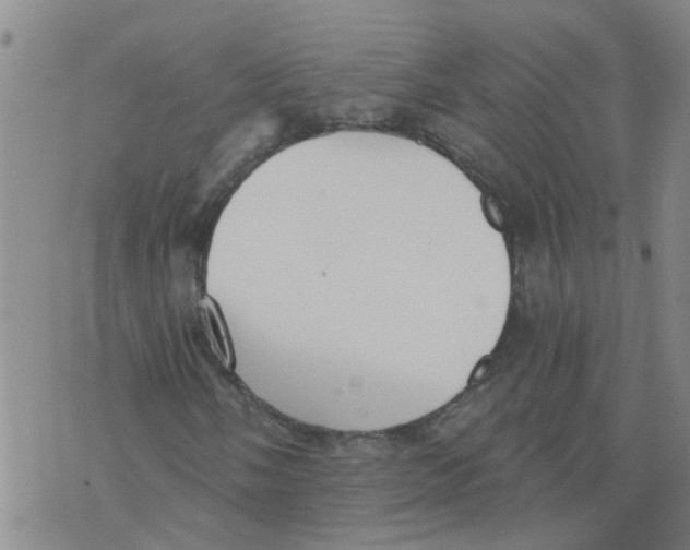 X0000073891058200609082117