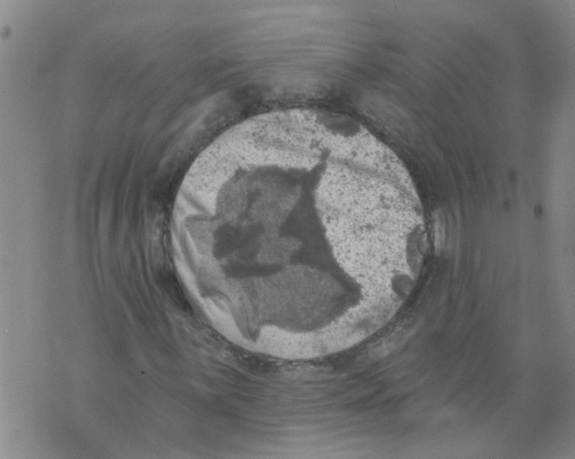 X0000073891059200609082117