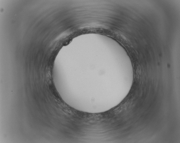 X0000073891062200609082117