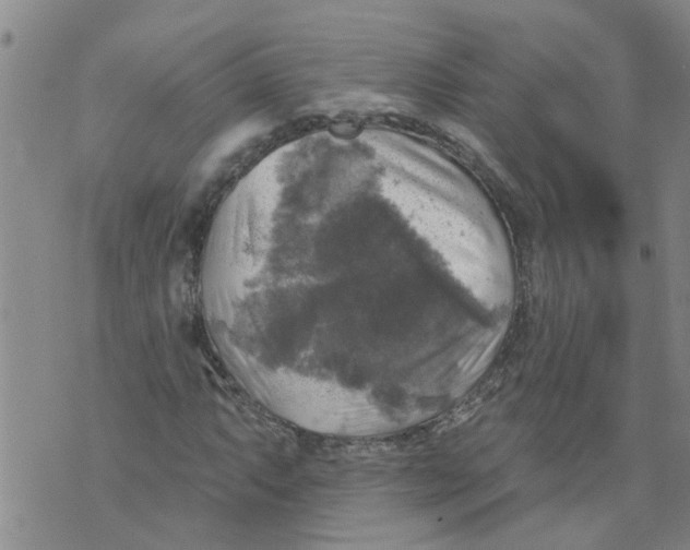 X0000073891063200609082117