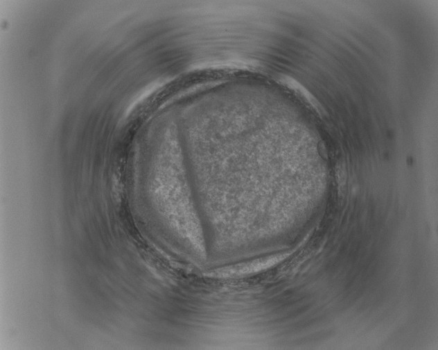 X0000073891064200609082117