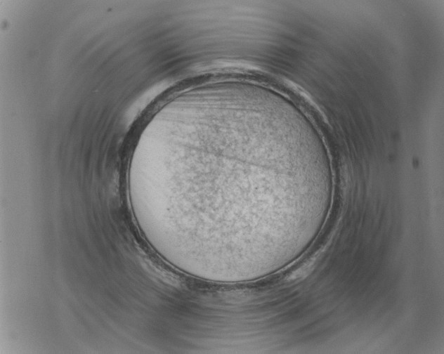 X0000073891066200609082117