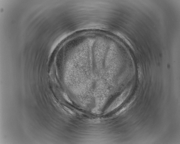 X0000073891069200609082117