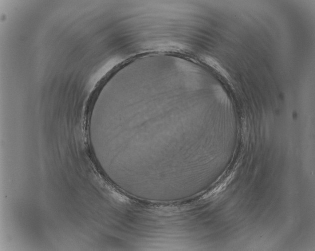 X0000073891071200609082117