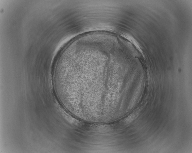 X0000073891072200609082117