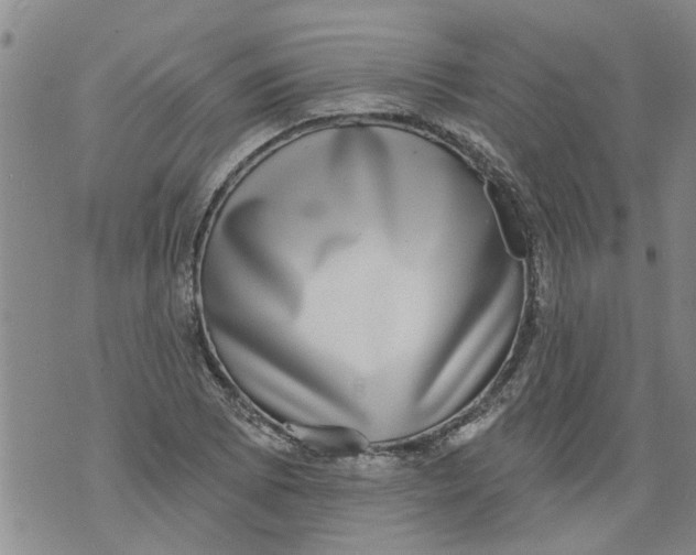 X0000073891073200609082117