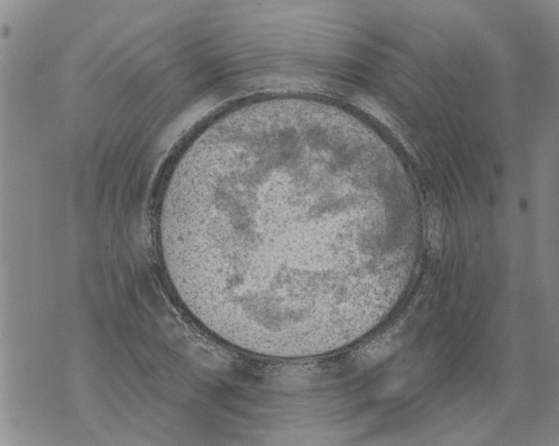 X0000073891074200609082117