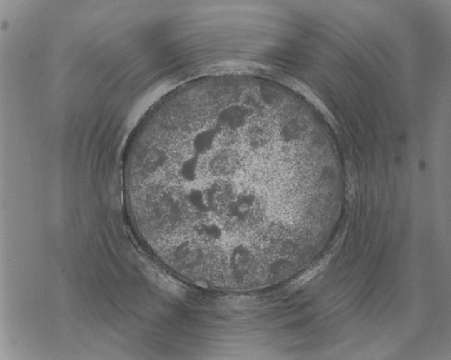 X0000073891075200609082117