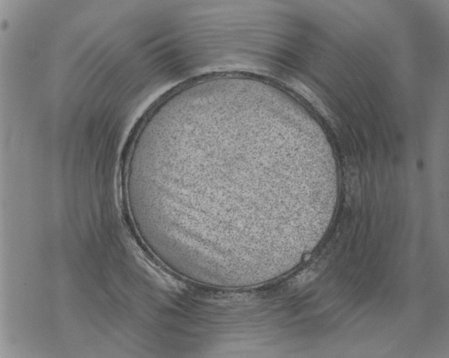 X0000073891076200609082117