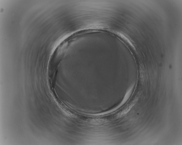 X0000073891077200609082117